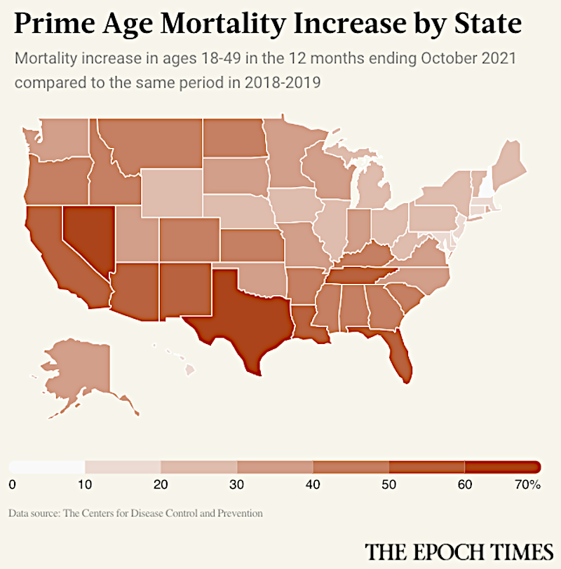 Prime Age Mortality by State