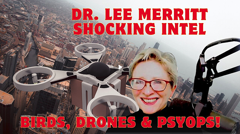 Dr Lee Merritt