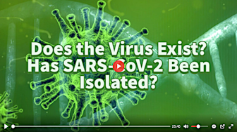 Does the Virus Exist?